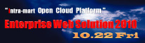 Enterprise Web Solution 2010
