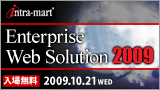 Enterprise Web Solution 2009