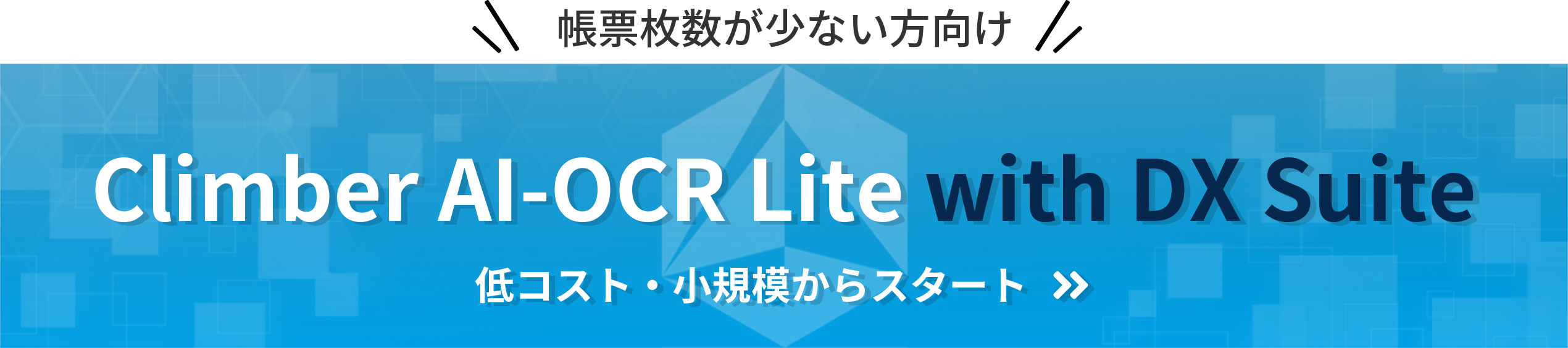 帳票枚数が少ない方向けサービス